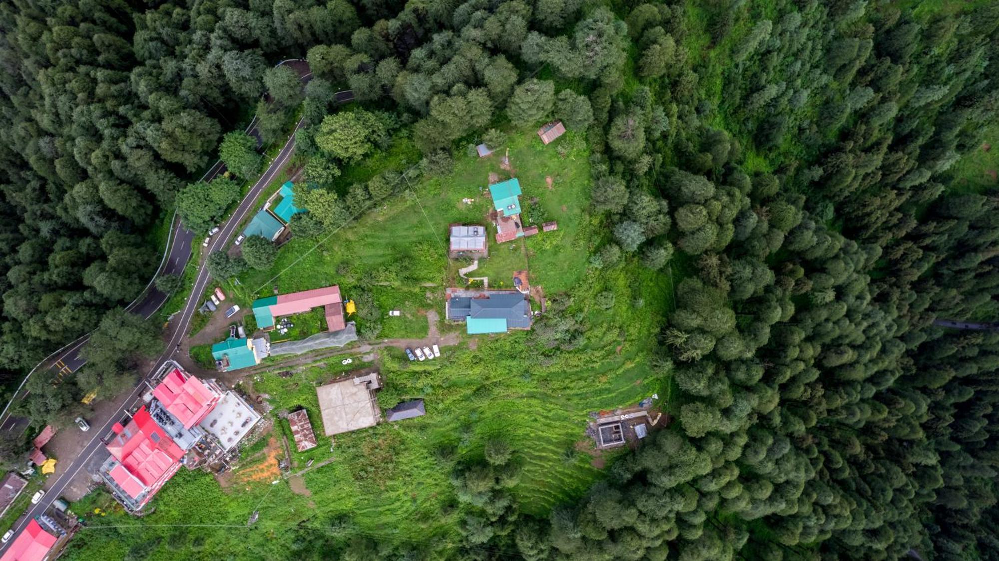 Cedar Hill Lodge - A Boutique Homestay Mashobra Buitenkant foto